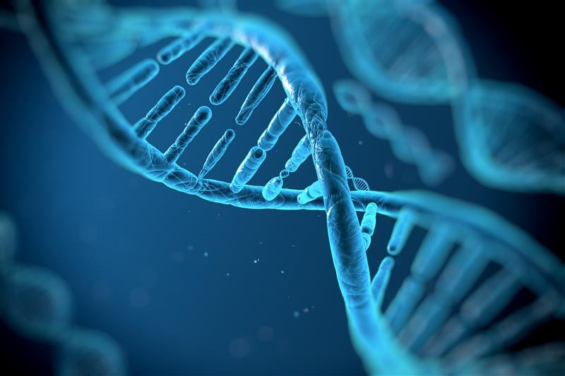 The Impact of Consanguinity on Genetic Health in Pakistan