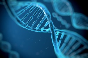 The Impact of Consanguinity on Genetic Health in Pakistan
